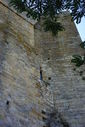 Nom du fichier=IMGP0592.JPG
Taille du fichier=228Ko
Dimensions : 602x899
Ajouté le : 03 Septembre 2014 IMGP0592.JPG