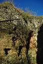 Nom du fichier=IMGP6583.jpg
Taille du fichier=238Ko
Dimensions : 602x899
Ajouté le : 19 Mars 2014 IMGP6583.jpg